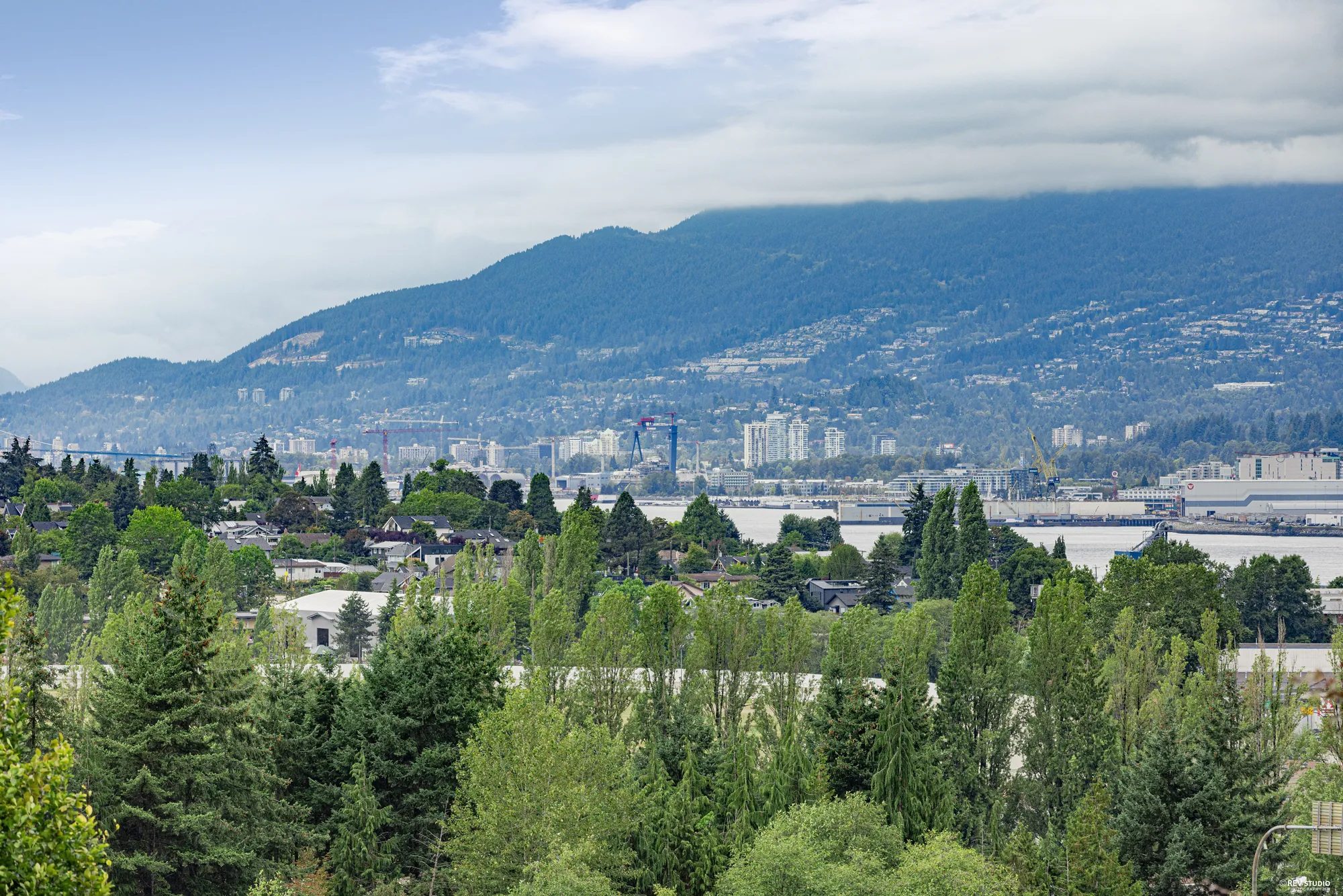 A green mountain rising behind the city, seen over treetops
